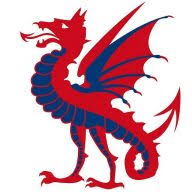 Logo Birkdale School
