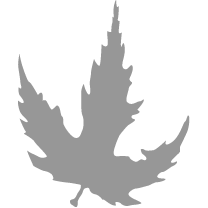 Logo Silver Investment Partners (Management)