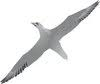 Logo Gannet Capital Pty Ltd.
