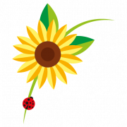 Logo Cizeron Bio SA