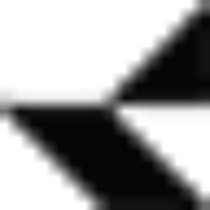 Logo Raimondi Cranes SpA