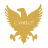 Logo Camelot Portfolios LLC