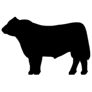 Logo The Angus Society of Australia Ltd.
