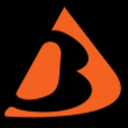 Logo Bergson Polska Sp zoo