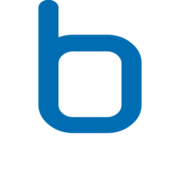 Logo Borit NV