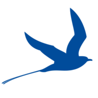 Logo Rajakiiri Oy