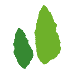 Logo Daesung Wood Ind. Co., Ltd.