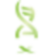 Logo South Texas Accelerated Research Therapeutics LP