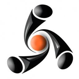Logo Solutions Through Innovative Technologies, Inc.