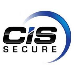Logo Intrepid Solutions & Services LLC