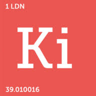 Logo KI Capital Ltd.