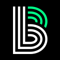 Logo Big Brothers Big Sisters of Northeastern Wisconsin