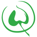 Logo Stiftung Lindenhof Bern