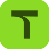 Logo Trevisan Escola de Negócios