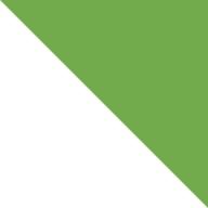 Logo Burlington Capital Real Estate LLC