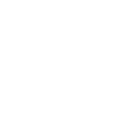 Logo Dempsey Ventures LLC
