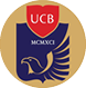 Logo Constantin Brancoveanu University