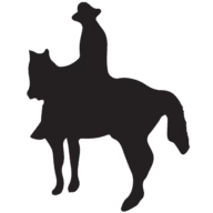Logo Texas Equusearch