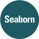 Logo Seaborn Networks LLC
