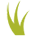 Logo Nutrients for Life Foundation
