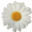 Logo The DAISY Foundation