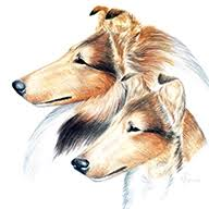Logo Collie Club of America