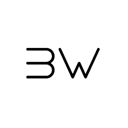 Logo BW International Ltd.