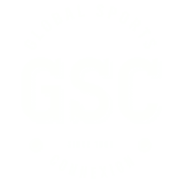Logo Global Sports Connexion Ltd.