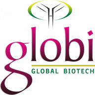 Logo Globion India Pvt Ltd.
