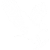 Logo Eagle Cos., Inc.