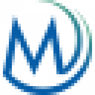Logo Leadership Montana