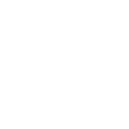 Logo Alford & Associates LLC