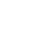Logo Realsafe Technologies Ltd.