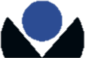 Logo National Pain Centers LLC