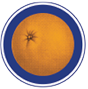 Logo Food Forward