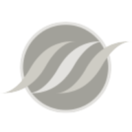 Logo Salient Medical Solutions, Inc.