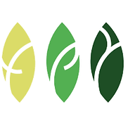 Logo Tpy Capital SA