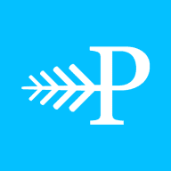 Logo Pineberry AB