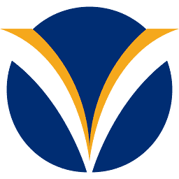 Logo Strategic Marine (V) Co. Ltd.
