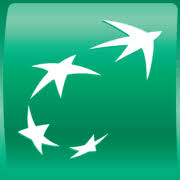 Logo BNP Paribas Leasing Solutions