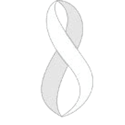 Logo Mobius Executive Leadership
