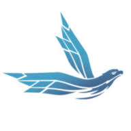 Logo Nighthawk Radiology, Inc.