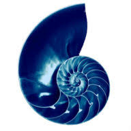 Logo Nautilus Ventures Management Company US LLC