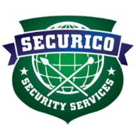 Logo DDNS Security Operations Pvt Ltd.
