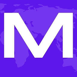 Logo Mappr Technologies Solutions Pvt Ltd.