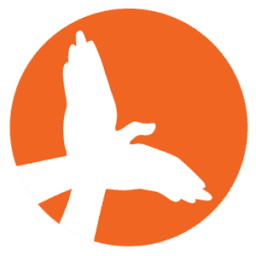 Logo Skillveri Training Solutions Pvt Ltd.