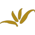 Logo Verium AG (Private Equity)