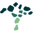 Logo Arbor Capital Corporate Finance Pty Ltd.