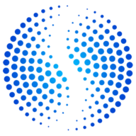 Logo Shalem Foundation