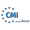 Logo Cleanroom Management International SA